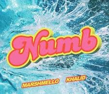 Download Marshmello Ft Khalid NUMB MP3 Download