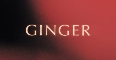 Download King Promise Ginger MP3 Download