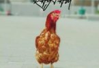 Download Masterkraft Chicken Amapiano MP3 Download