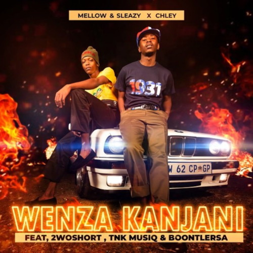 Mellow & Sleazy – Wenza Kanjani ft. Chley, 2woshort, TNK MusiQ & Boontle RSA (Official Audio)