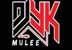 Download DJ YK Organize Dance Beat MP3 Download