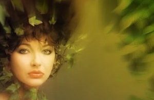 Download Kate Bush Running Up That Hill (A Deal With God) MP3 Download