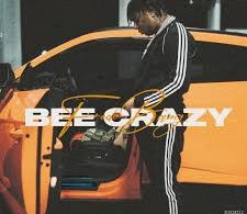 Download Fredo Bang Bee Crazy MP3 Download